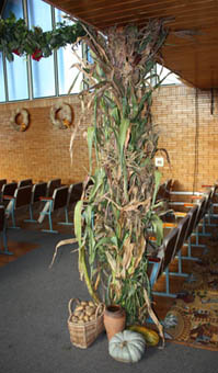 кукурузные листья послужили декорацией